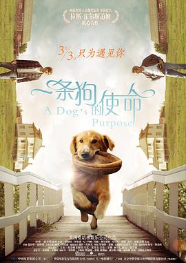 福利一区二区在线